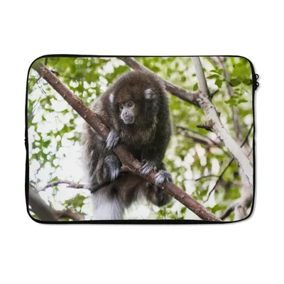 Produktbild von MuchoWow® Laptop Hülle 14 ZollAffe - Zweig - Tier Laptoptasche - Laptoptasche - Stoßsicher - Schutzhaube