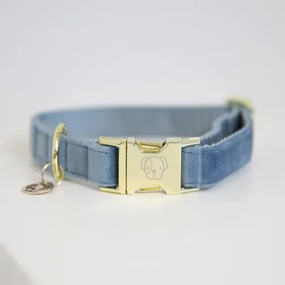 Obrázok produktu pre Kentucky Dogwear Obojok pre psov Velvet Collar Light Blue L