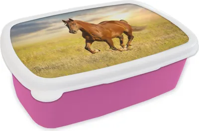 Produktbild von KitchenYeah® Lunchbox Brotzeit Brotdose 17x11 cm Pferd - Sonne - Gras - Tier Kinder Brotzeitdose - Lunchpaket - Brotkasten  - Sandwich Box