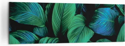 Produktbild von Bild auf Leinwand - Leinwandbild - Einteilig - Blätter Pflanzen Exotik - 160x50cm - Wand Bild - Wanddeko - Wandbilder - Leinwanddruck - Bilder - Wanddekoration - Leinwand bilder - AB160x50-5066
