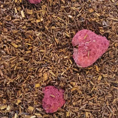 Produktbild von Himbeere Rooibos Tee Naturideen® 100g