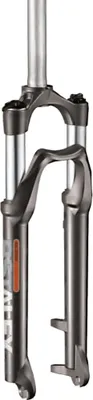 Produktbild von RST ALEX 26 TNL Stoßdämpfer vorne, 100mm, 28.6x260x0, mattschwarz, Disc, 9mm Achse