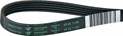 Produktbild von AEG Keilrippenriemen 1462477009 für Waschmaschine | Mehrrippenriemen, Rippenriemen