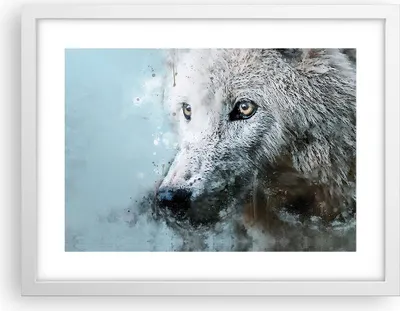 Produktbild von Gerahmtes Poster - Weißer Rahmen - Weiß Der Wolf Bild - 40x30 cm - Wand Bild - Wanddeko - Wandbilder - Kunstposter - Wandposter - Bilderrahmen - Bilder - Kunstdruck - Wanddekoration - P2WAA40x30-4623