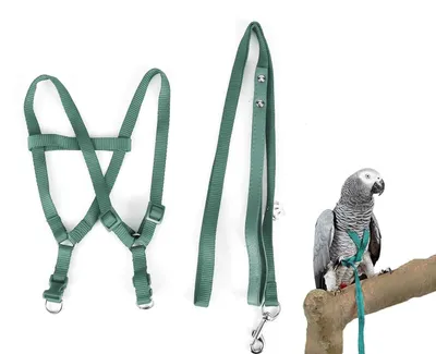 Imagen del producto de Arnés para aves Inovra, ajustable. Correa para aves, fabricada en nylon, resistente a mordiscos y a desgarros. Adecuada para loros. Arnés para loros