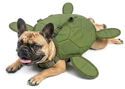 Produktbild von Rettungsweste in Schildpattform für Hunde, Größe XL, mit hoher Auftriebskraft