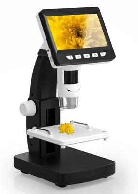 Digitale LCD-Mikroskop, 4,3 Zoll, 8 LEDs, 50-1000x Vergrößerung