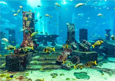 Productafbeelding van Achtergrondfolie voor aquarium, met koraalmotief, zelfklevend, 61x30 cm, onderwaterdecoratie