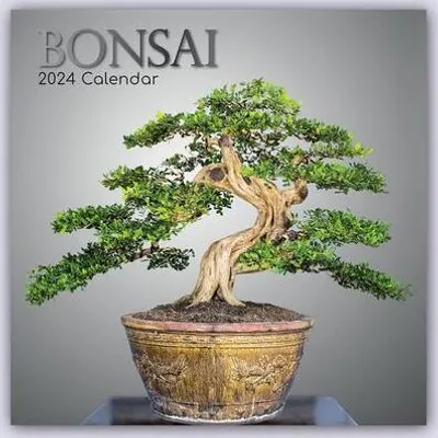 Produktbild von Bonsai 2024 - 16-Monatskalender