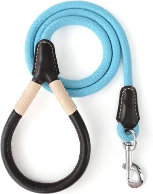 Premium Hundeleine Leder, Hauptbild