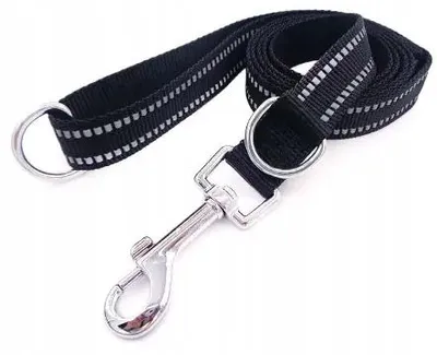 Produktbild von Robuste Hundeleine mit Halsband, reflektierend, 1,2 m, schwarz, Größe L