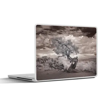 Produktbild von MuchoWow® Laptop Aufkleber Sticker Cover Amerika - Schwarz - Weiß - Baum 31x22.5 cm - Laptop-Deko