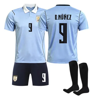 Immagine prodotto di #9 D.NUNEZ Maglia da calcio dell'Uruguay per i Mondiali 2026, disponibile per bambini e adulti. TAGLIA:XXXL