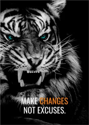 Produktbild von TPFLiving Kunstdruck LW-804 (OHNE RAHMEN) Poster - Leinwand - Wandbild - Hochauflösender Giclée-Druck, langlebig und hochwertig - Tiger und Hund mit motivierenden Zitaten - Größe: 20x30cm