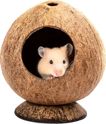 Produktbild von Hamsterhaus, Kokosnuss-Hütte, Kleine Haustiere, Vogelhaus, Hamster Zubehör, Nager Zubehör (13.5 x 11.9 cm)