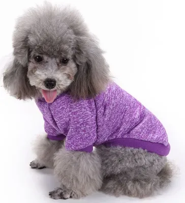 Produktbild von Weiches, leichtes Lila Rollkragen-Hunde-Sweatshirt Größe M