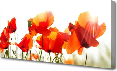 Produktbild von Tulup Leinwand-Bilder 125x50 Wandbild Canvas Kunstdruck Mohnblumen Pflanzen
