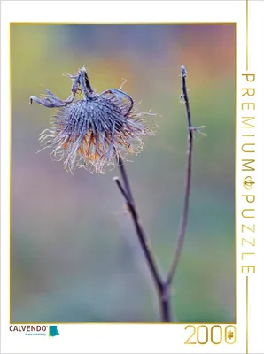 Produktbild von CALVENDO Puzzle Ein Motiv aus dem Kalender Wildsaatplaner 2000 Teile Puzzle hoch | 2000 Teile Lege-Größe 90x67cm Foto-Puzzle für glückliche Stunden