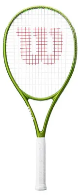Image de Wilson WIP WR197810 in Green color size L