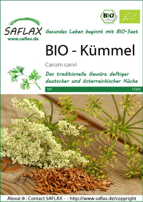 Artikelbild 1 von 'BIO Kümmel' aus der Kategorie Kümmelsamen
