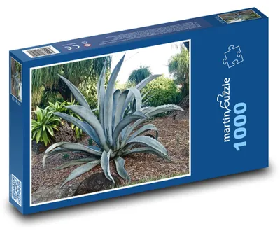 Obrázok produktu pre Puzzle 1000 Exotická záhrada s kaktusom - martinpuzzle