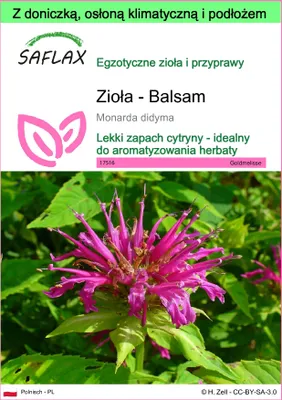 Zdjęcie produktu dla SAFLAX - Garden to go - Zioła - Balsam - 20 Nasiona - Z doniczką, pokrywą klimatyczną i podłożem do uprawy - Monarda didyma