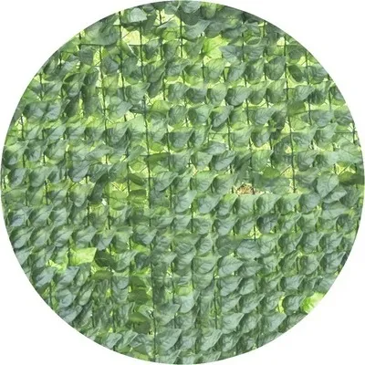 Obrázek produktu pro Windhager Maple, Zelená, 1000 mm, 3000 mm