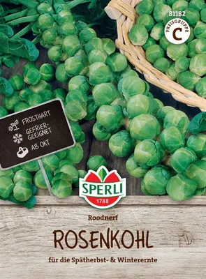 Produktbild von SPERLI Rosenkohlsamen Roodnerf Brassica oleracea 120 Pflanzen