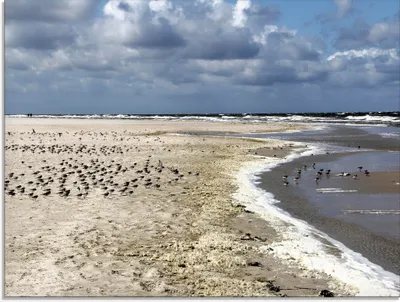 Produktbild von ARTland Glasbild Am schönen Nordseestrand Größe: 80x60 cm