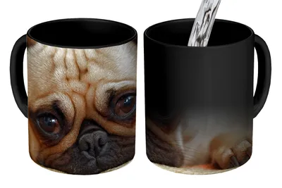 Obrázek produktu pro MuchoWow® Kouzelný pohár Detailní záběr smutného štěněte mopse 350 ml Barva měnící se pohár Dárkový nápad - foto hrnek