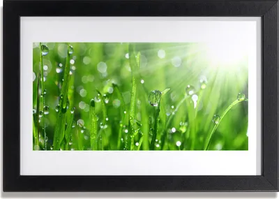 Produktbild von Bild 30x20 MDF-Rahmen Wandkunst Nature Grass Drops