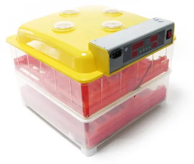 Brutmaschine für 72 Eier, Inkubator, automatisch, LED