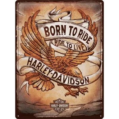 Zdjęcie produktu dla Plakat 30X40 Harley Davidson Born