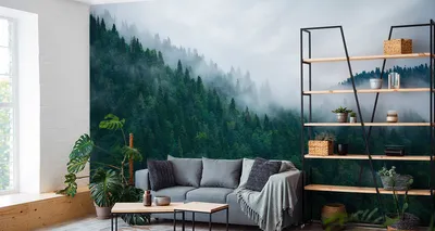 Produktbild von Fototapete Vlies Tapete Wald im Nebel 450 cm (B) x 300 cm (H) Wandbild Wanddeko