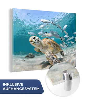 Obrázok produktu pre MuchoWow® Sklenené obrazy - Obrazy na stenu - Foto na skle korytnačka - ryby - more 80x60cm Nástenná dekorácia zo skla - akrylový sklenený obraz - akrylové