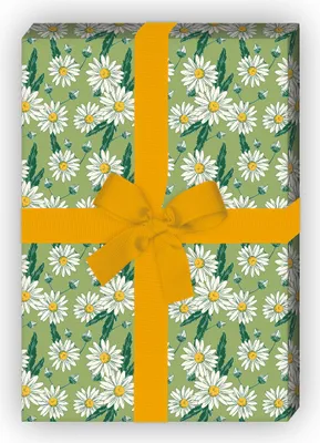 Produktbild von Vintage Blumen Geschenkpapier mit Margeriten Gänseblümchen, grün - G11579, 32 x 48cm