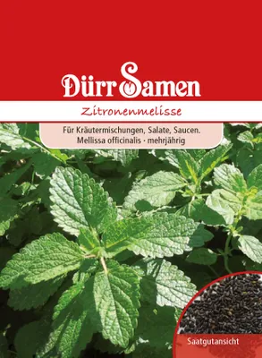 Produktbild von Zitronenmelisse | Melissensamen von Dürr Samen