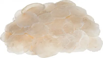 Produktbild von Camar-Perlmuttscheiben in Natur, Packung mit 0,25kg | Capiz-Muschel