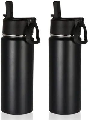 Productafbeelding van Set van 2 RVS Waterflessen 530 ml met Rietje