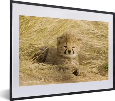 Produktbild von MuchoWow® MuchoWow® Gerahmtes Poster Gepard - Jung - Gras 40x30 cm - Poster mit zchwarzem Bilderrahmen - Bilderrahmen - Poster im Rahmen