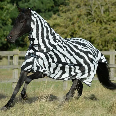Produktbild von Bucas Fliegendecke Buzz-Off Full Neck Zebra