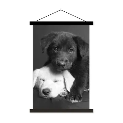 Produktbild von MuchoWow® Textilposter Hunde - Welpe - Schwarz - Weiß - Tiere 60x90 cm mit schwarzem Rahmen - Poster Wohnzimmer