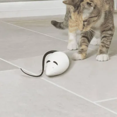 Produktbild von FroliCat Automatisches Katzspielzeug RoloRat