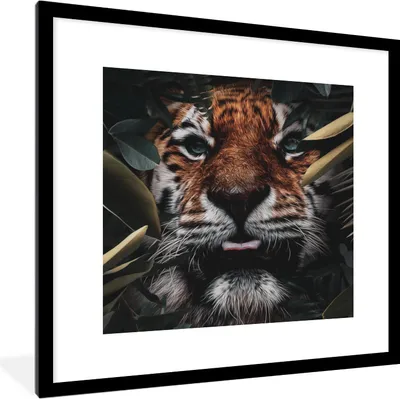 Produktbild von MuchoWow® MuchoWow® Gerahmtes Poster Tiger - Blatt - Tiere 40x40 cm - Poster mit zchwarzem Bilderrahmen - Poster - Plakat im Rahmen