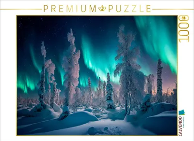 Produktbild von Calvendo Aurora Borealis - Foto-Puzzle', 1000 Teile, 1000 Stück(e), Landschaft