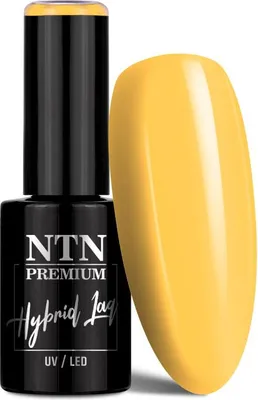 Image de Vernis hybride NTN Premium Édition limitée 5 g n° 381