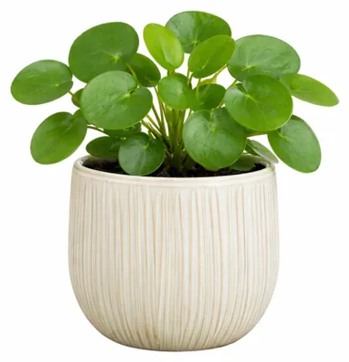 Produktbild von Mica Decorations Pflanzentopf - Keramik - weis glanzend / gerippt - D21 x H19 cm - Blumentopf Pablo