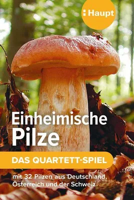 Obrázek produktu pro Native mushrooms - hra s kvartetem