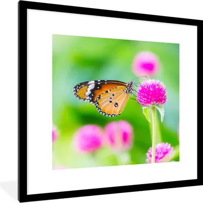 Produktbild von MuchoWow® Gerahmtes Poster Landleben - Schmetterling - Distel - Blume 40x40 cm - Poster mit Schwarzem Bilderrahmen Wandposter Rahmen Foto Bilder - Poster - Plakat im Rahmen