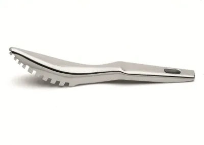 A stainless steel fish scaler on a white background.